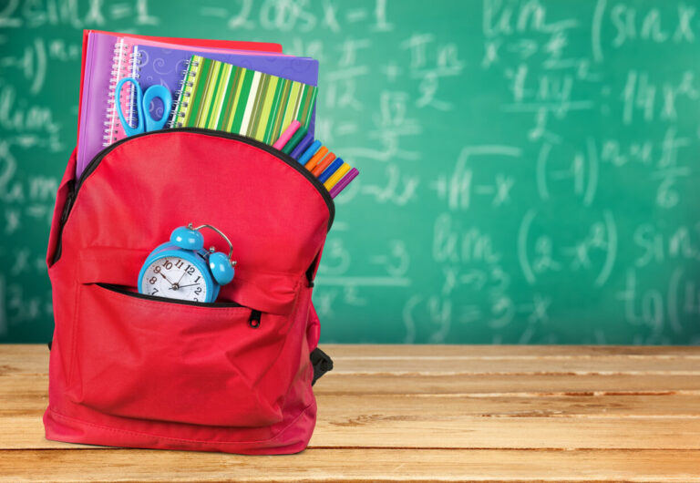 Top 10 School Bag Brands In India