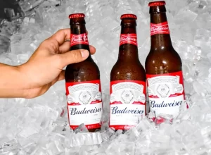 budweiser-beers-bottles