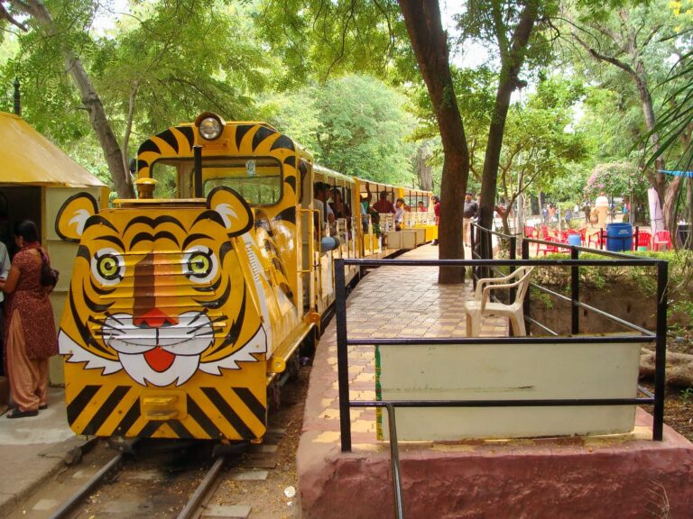 The Ultimate Guide to the Best Parks to Visit with Kids in India